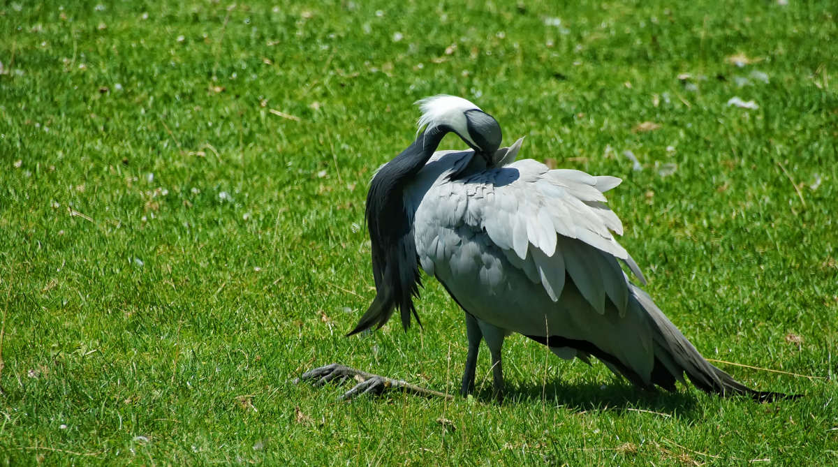 ������! ����� �������  �� PhotoGeek.ru #�������� ���