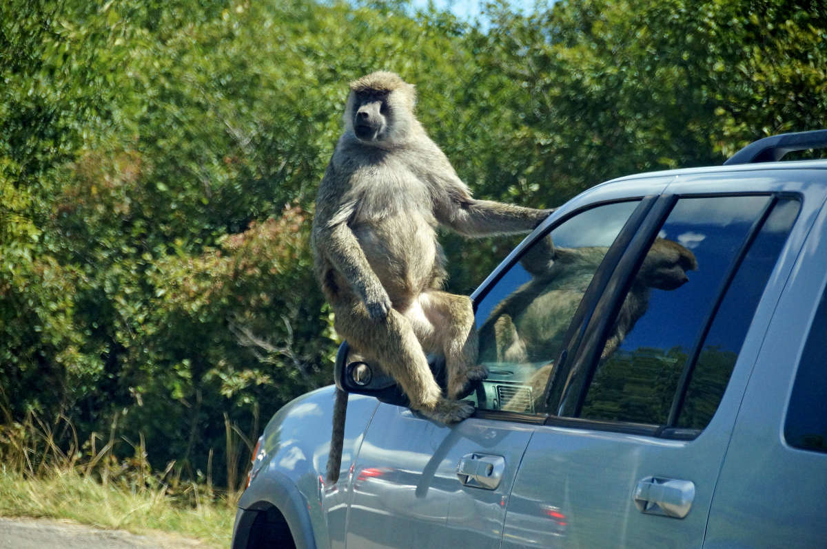 ����� ���� ������ �� �������� ����� �������  �� PhotoGeek.ru #�������� ��� #�������� ����������