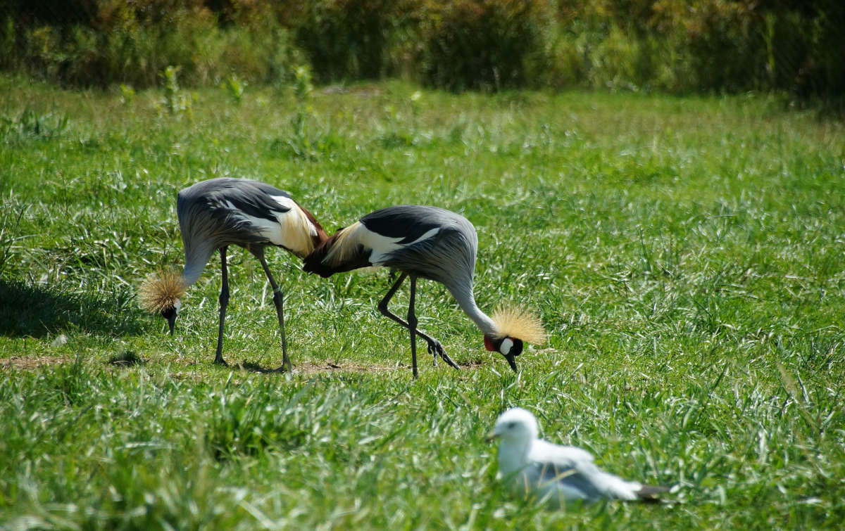 ���������� ������ ����� �������  �� PhotoGeek.ru #�������� ���