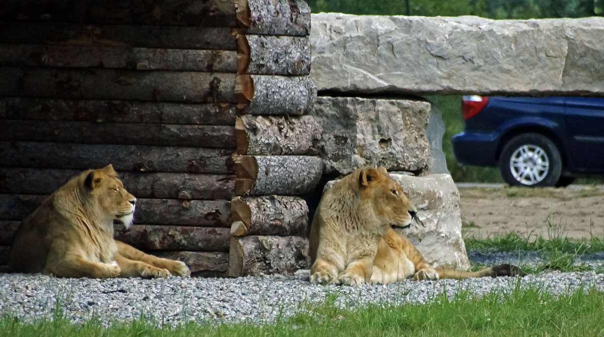 ������������ ���... ����� �������  �� PhotoGeek.ru #�������� ���