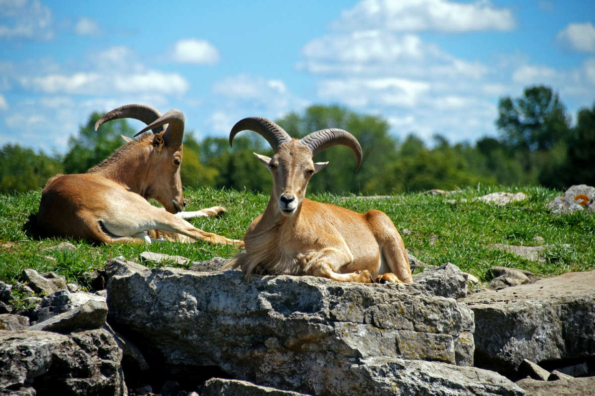 � ����� ��������! ����� �������  �� PhotoGeek.ru #�������� ���