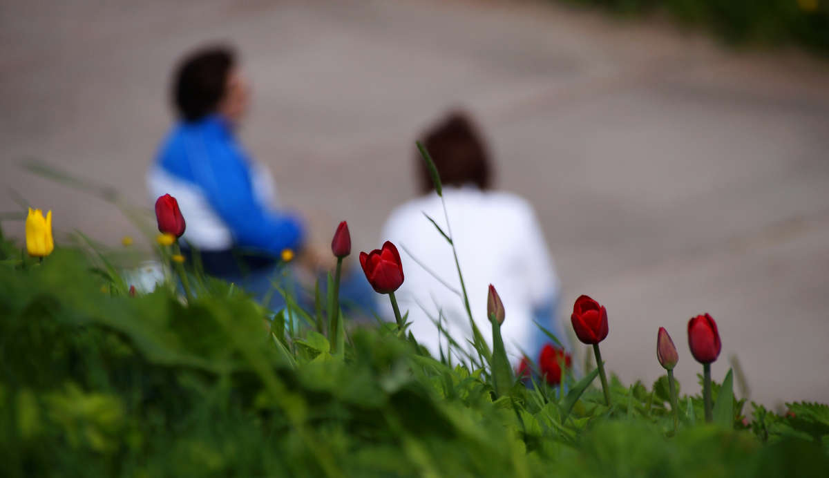 ������������ ����� �������  �� PhotoGeek.ru #�������� ����������