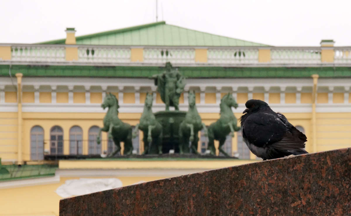 �������� ������� ����� �������  �� PhotoGeek.ru #����� #�������� ��� #�������� ����������