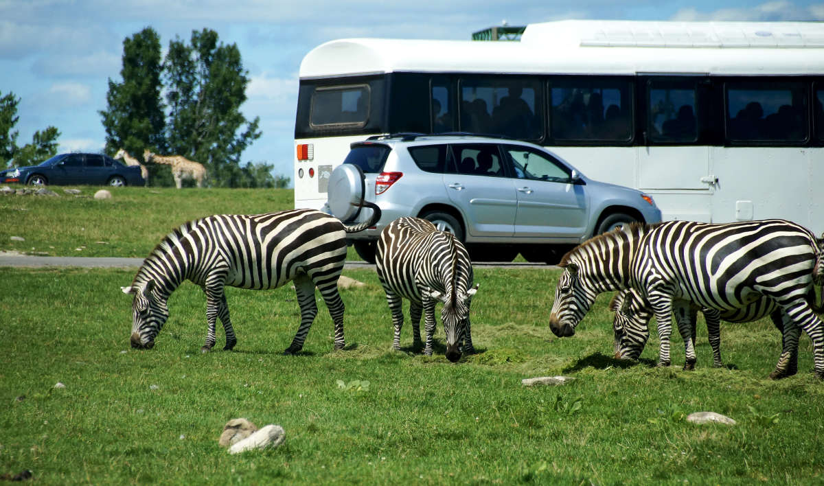 ����������� �������� ����� �������  �� PhotoGeek.ru #�������� ��� #�������� ����������