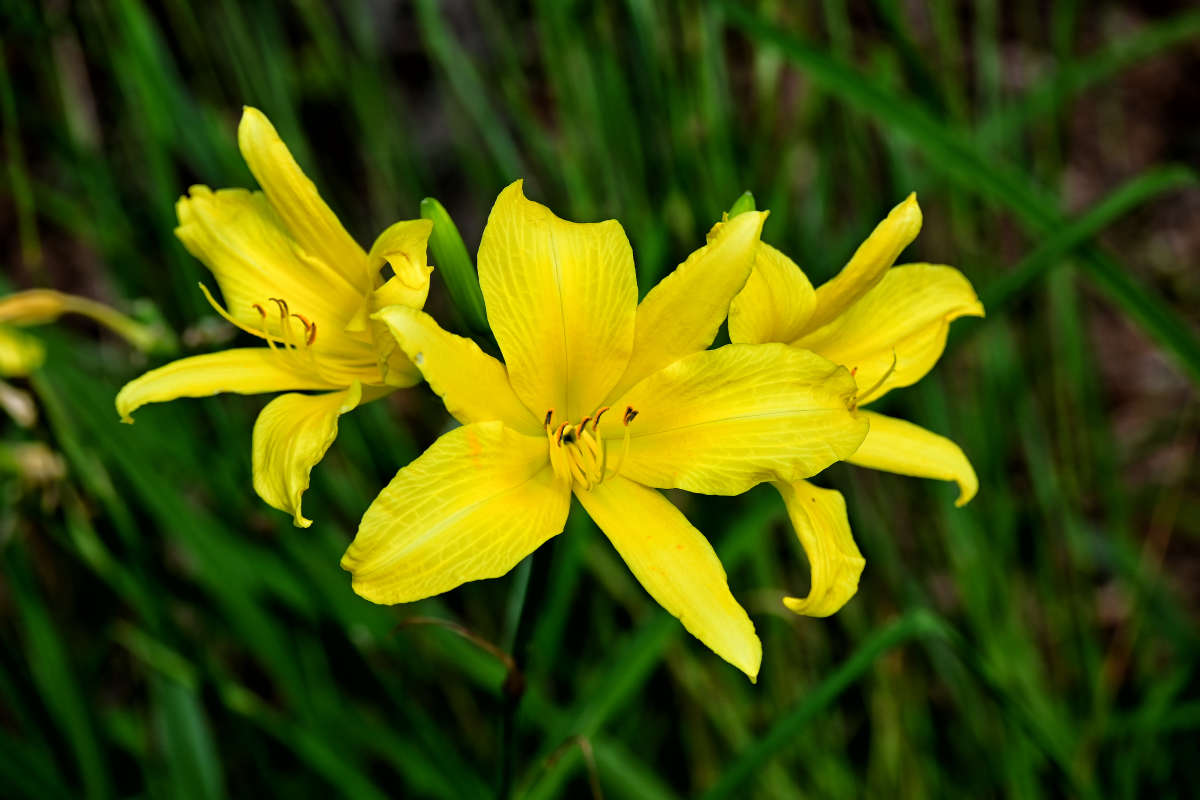 �������� ����� �������  �� PhotoGeek.ru #������ ��� �������