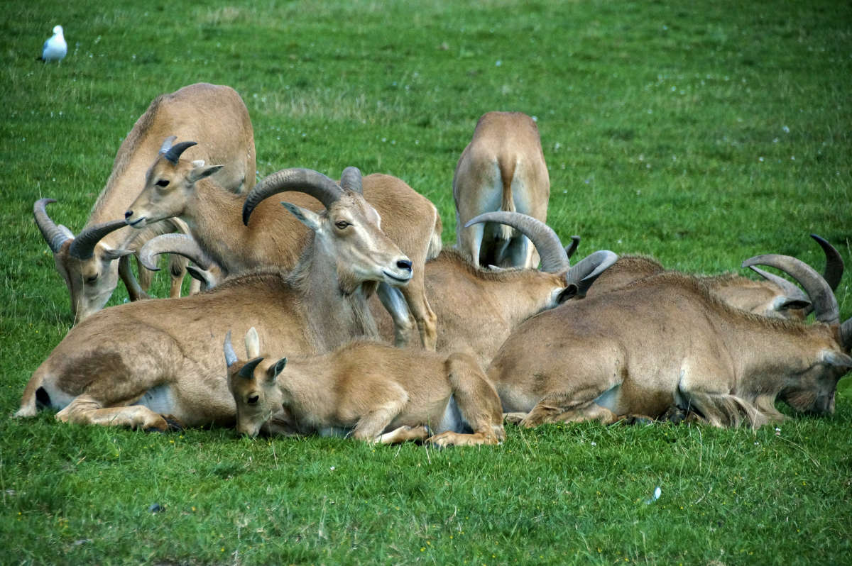 ����-���� ����� �������  �� PhotoGeek.ru #�������� ���