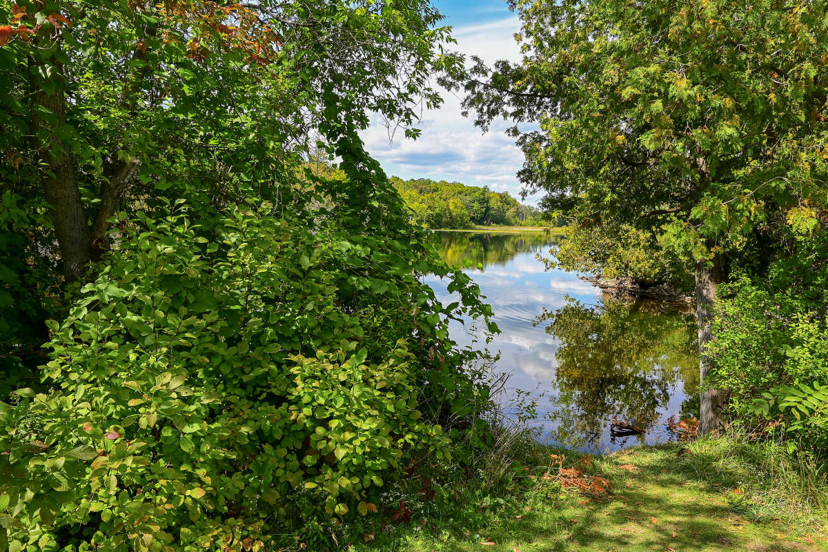Crowe River, Marmora ����� �������  �� PhotoGeek.ru #������ ��� �������