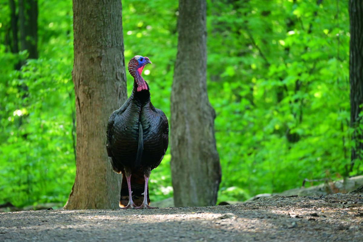 ����� �� ��� ������� ���� ����� �������  �� PhotoGeek.ru #�������� ���