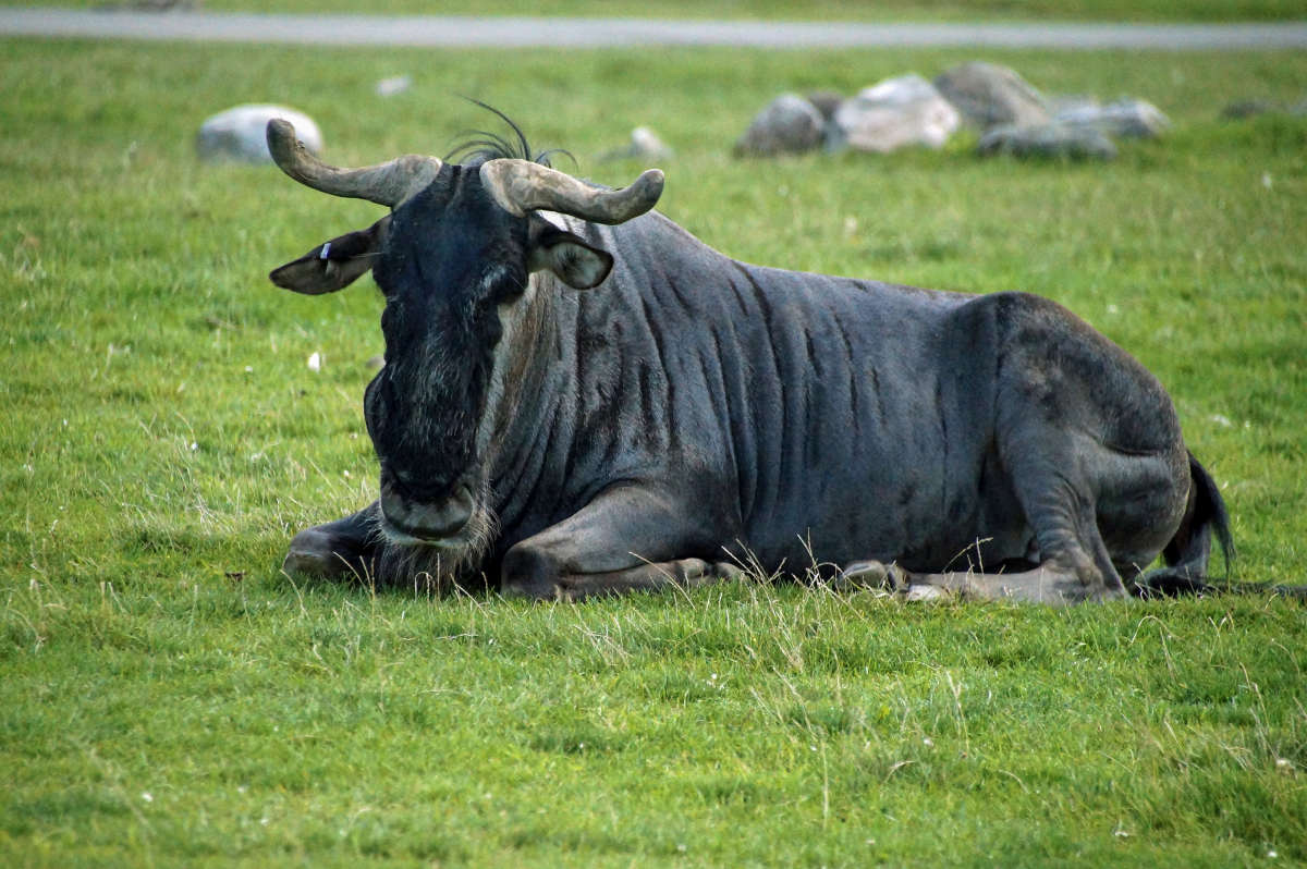 ���������� ����� �������  �� PhotoGeek.ru #�������� ���