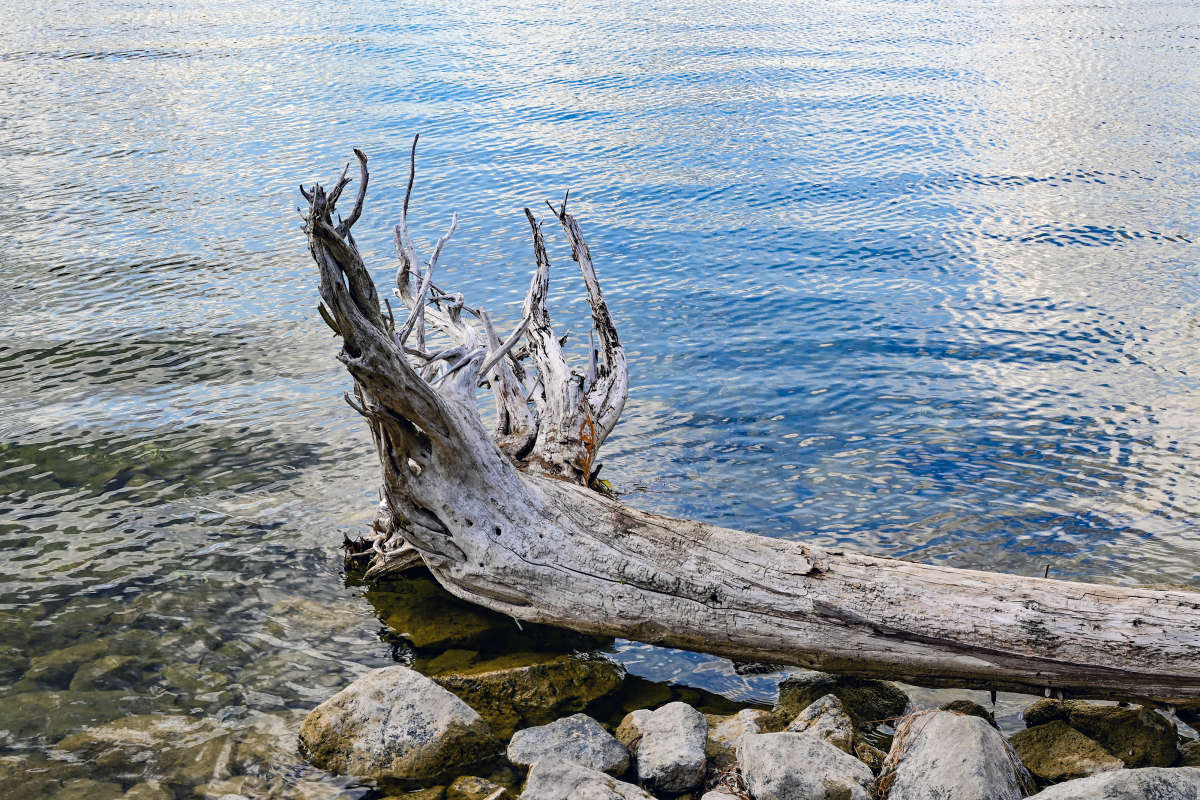 ������������ ����� �������  �� PhotoGeek.ru #������ ��� �������