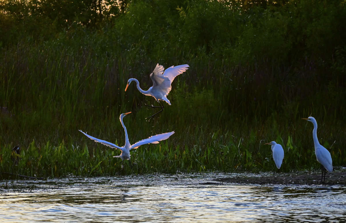 ������� � ���������� ����� �������  �� PhotoGeek.ru #�������� ���