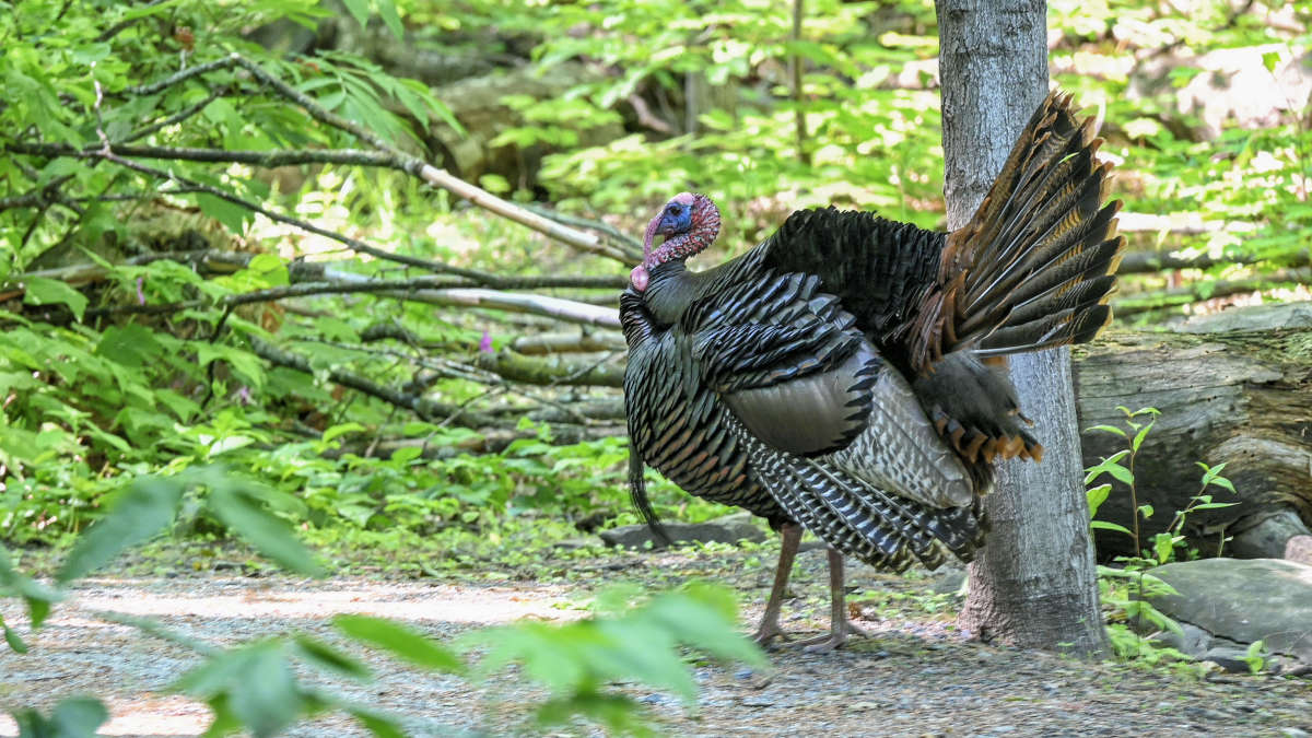 ����������� ����� �������  �� PhotoGeek.ru #�������� ���