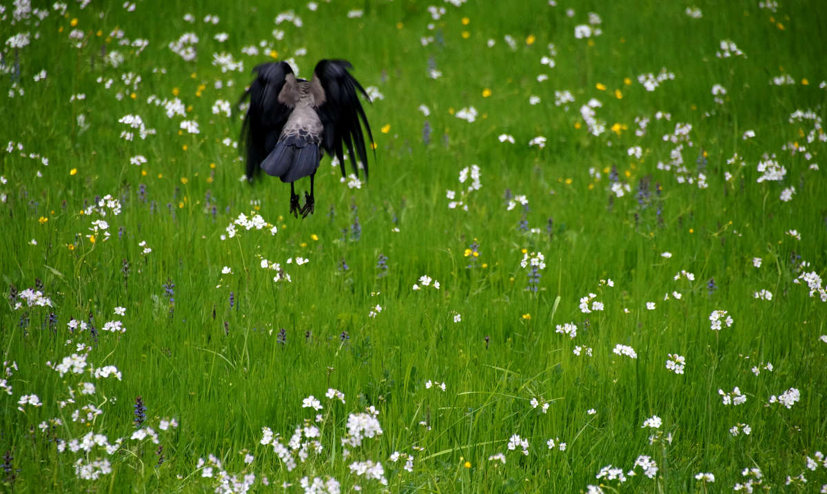 ������ �� ������� ����� �������  �� PhotoGeek.ru #�������� ���