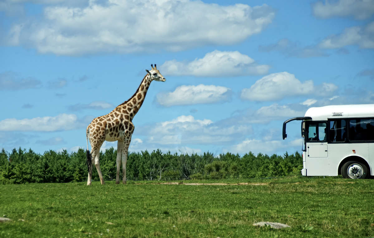 ���� ������� ����� �������  �� PhotoGeek.ru #�������� ����������