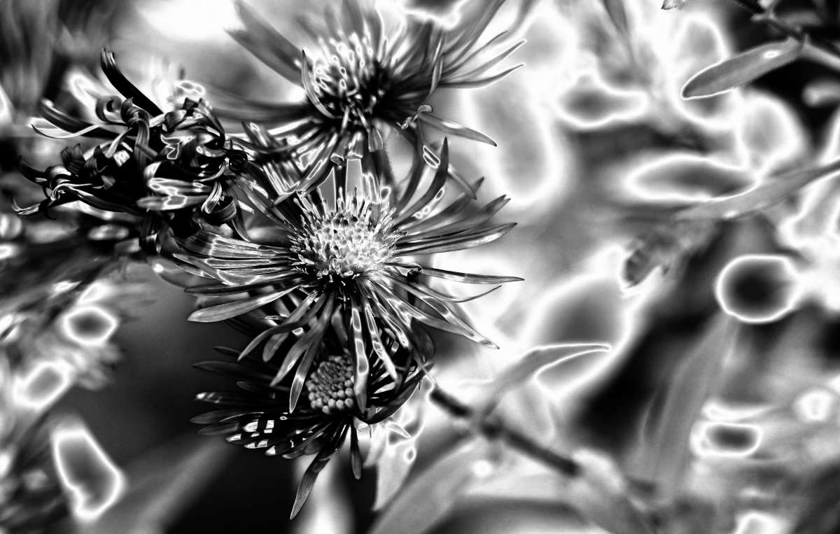 � ����������� �������� �����! ����� �������  �� PhotoGeek.ru #�������� ����������