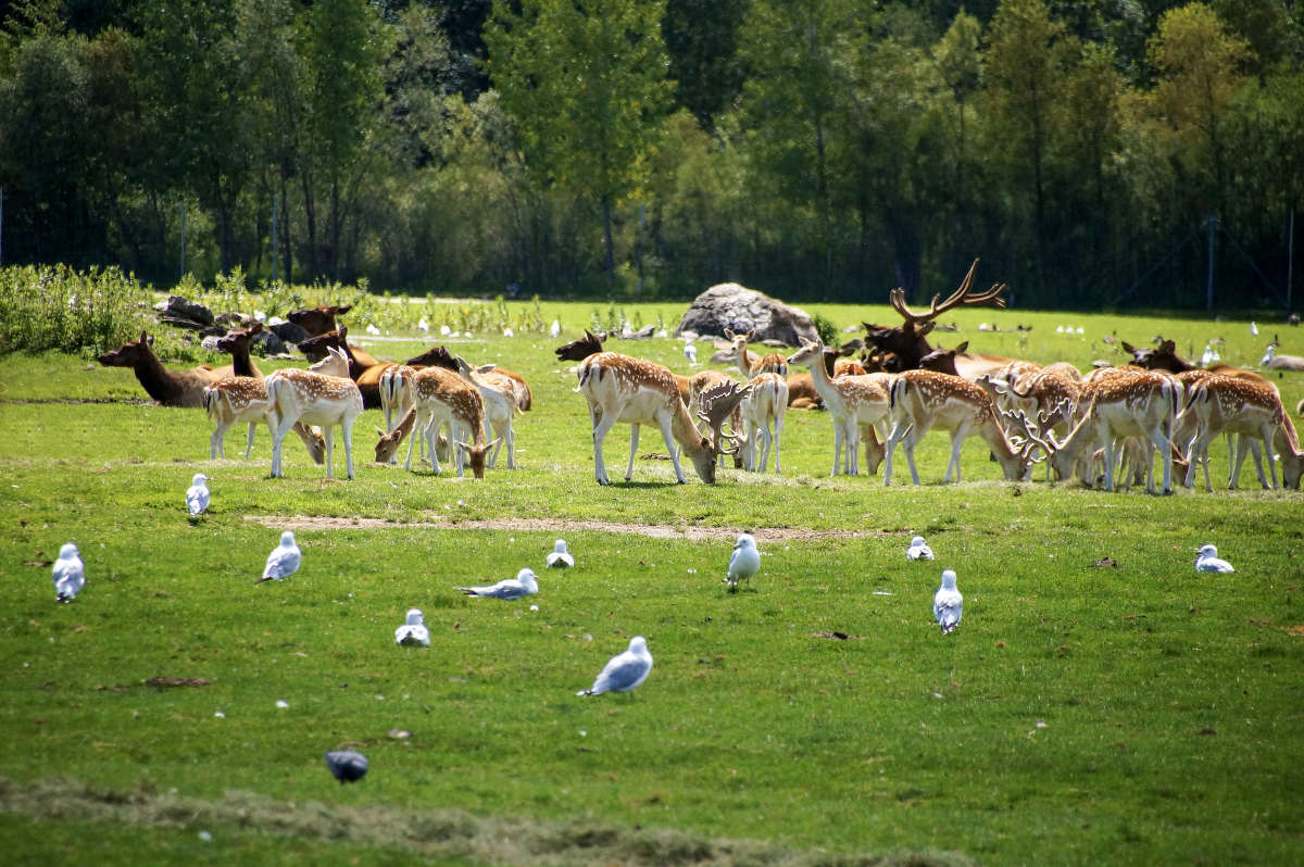 ���� ����� �������  �� PhotoGeek.ru #�������� ��� #������ ��� �������