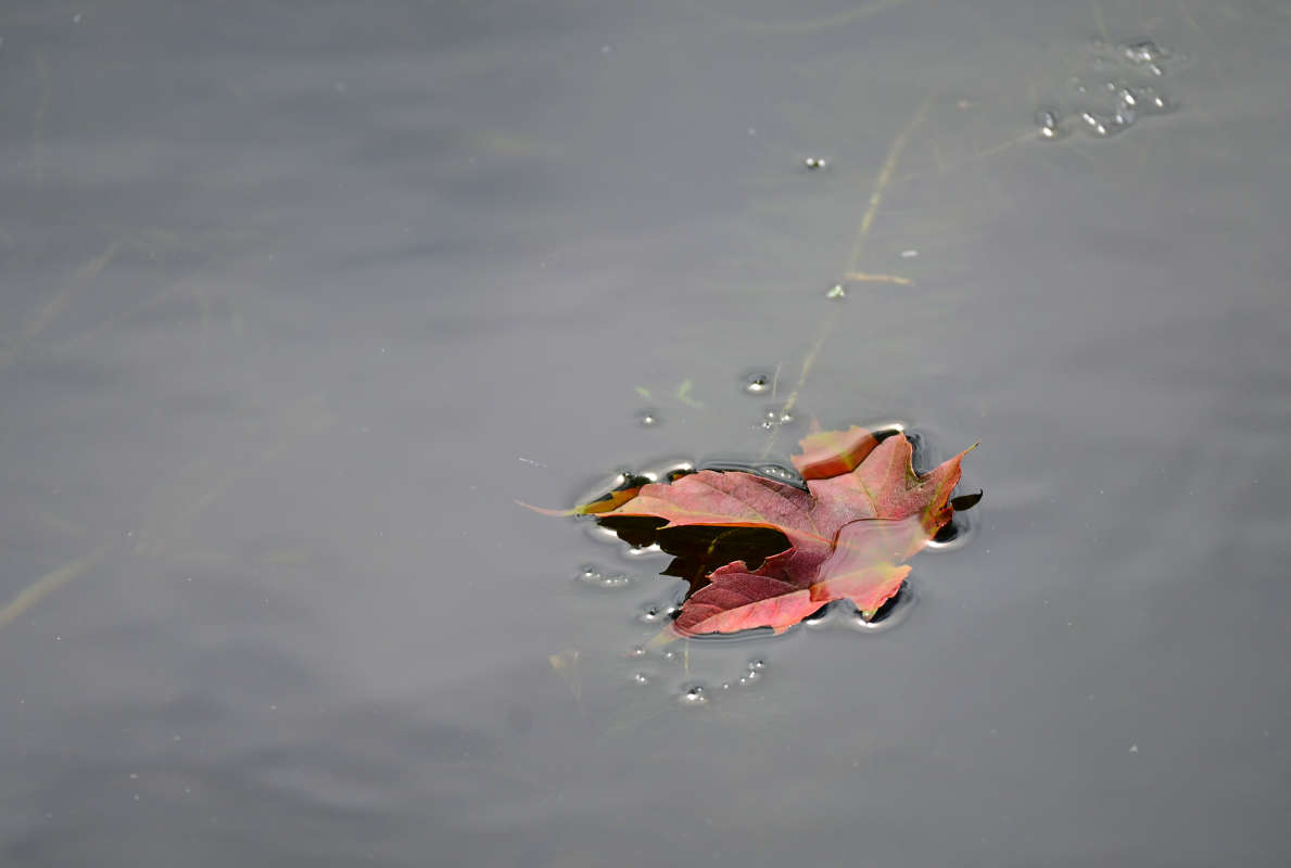 ���������� ����� �������  �� PhotoGeek.ru #������ ��� �������