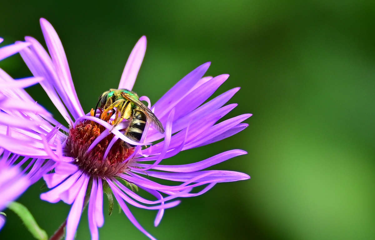 �������� ����� �������  �� PhotoGeek.ru #�������� ��� #������ ��� �������