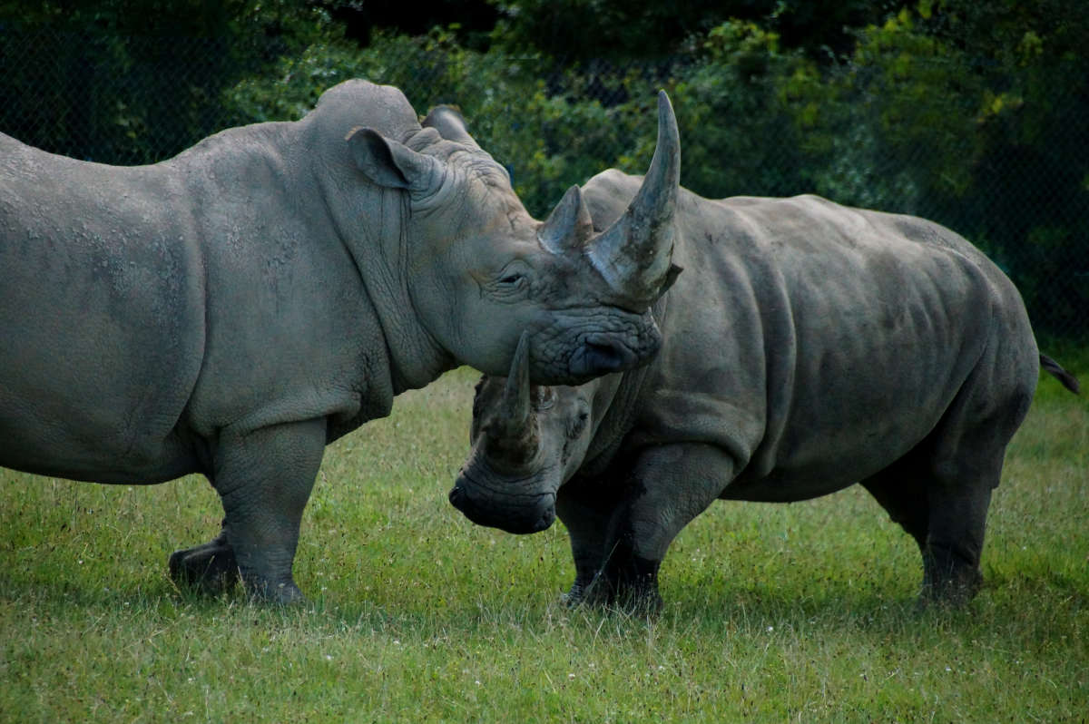 ����������� ����� �������  �� PhotoGeek.ru #�������� ���