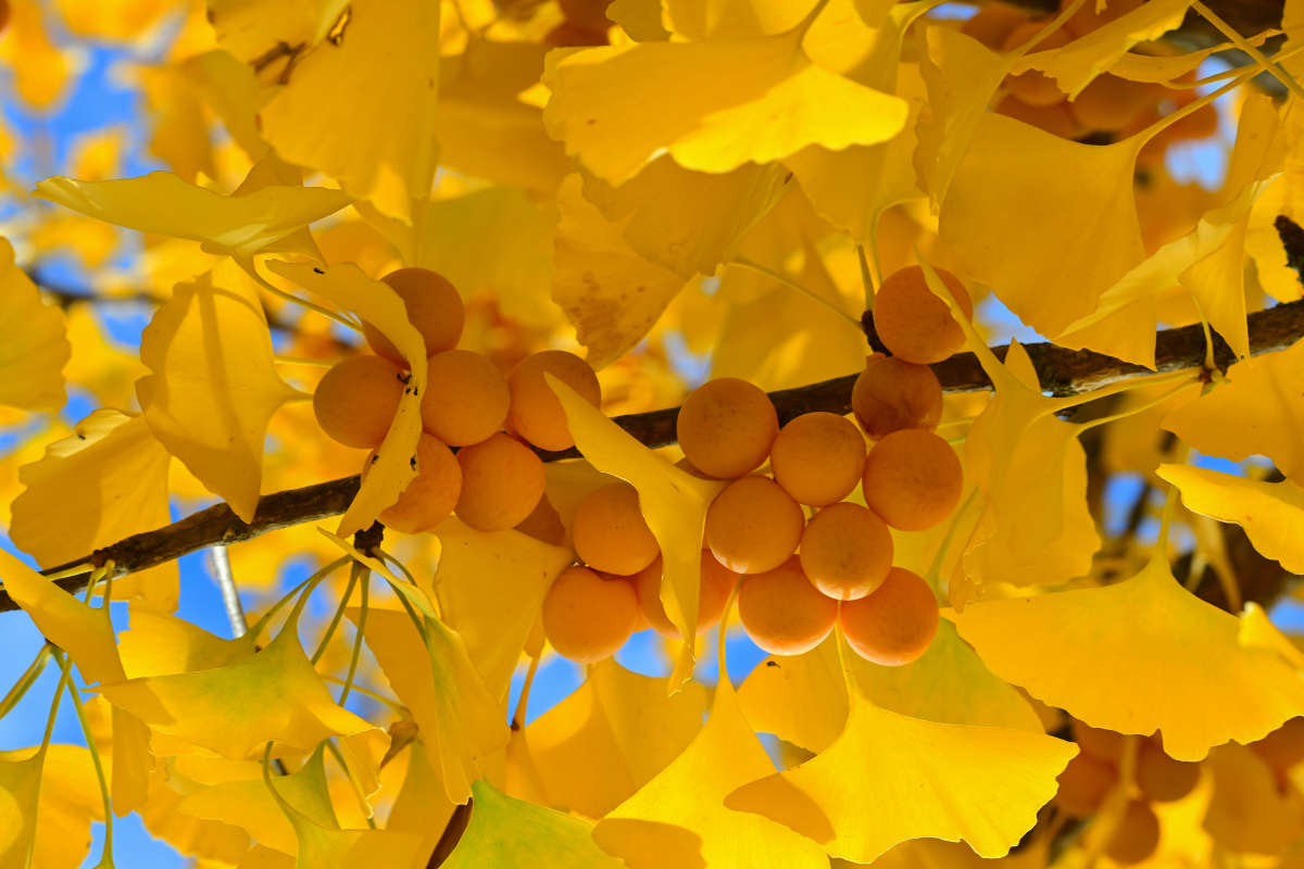 ��������� ����� �������  �� PhotoGeek.ru #������ ��� �������