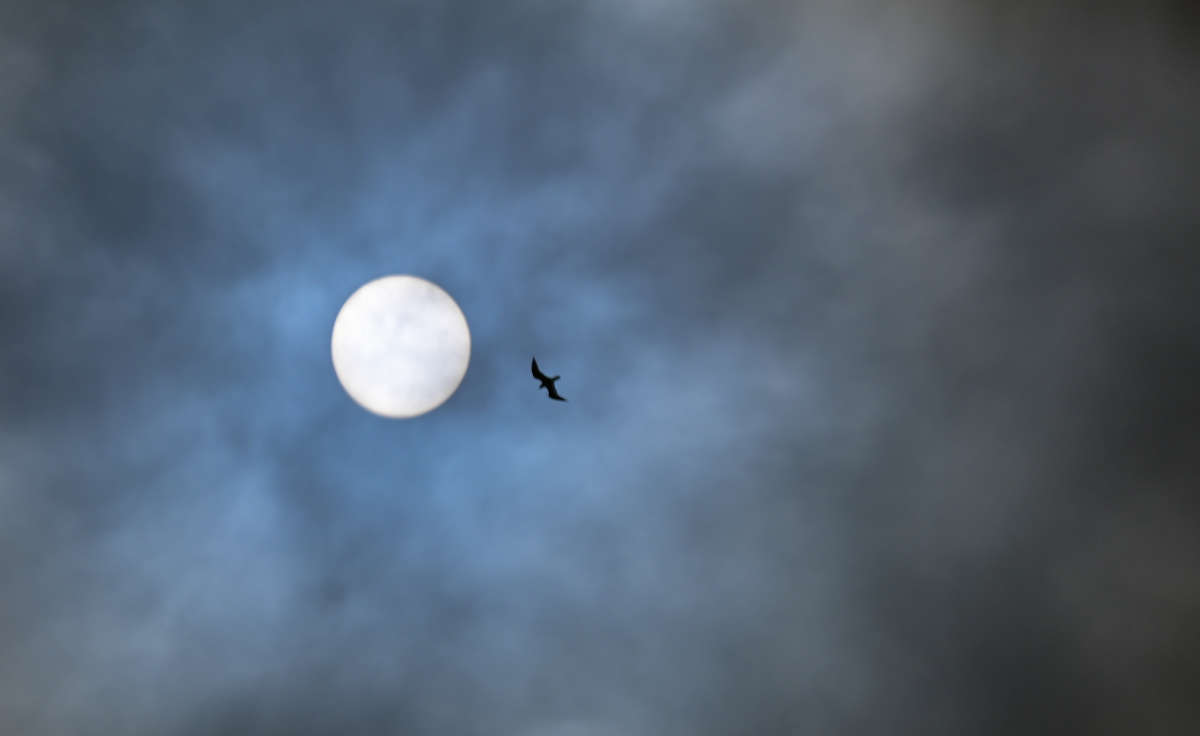 ���������� ����� �������  �� PhotoGeek.ru #�������� ����������