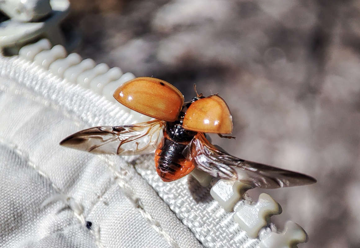 ��������� ����� �������  �� PhotoGeek.ru #�������� ���