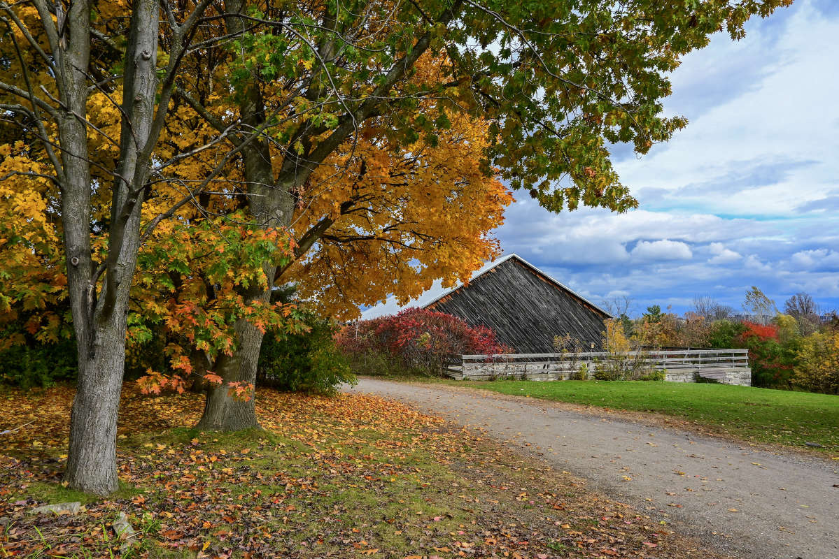 ��� � �������� ����� �������  �� PhotoGeek.ru #�������� ����������