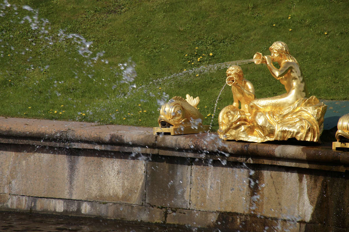 ��� ��� � �������� ���� �����... ����� �������  �� PhotoGeek.ru #�����������