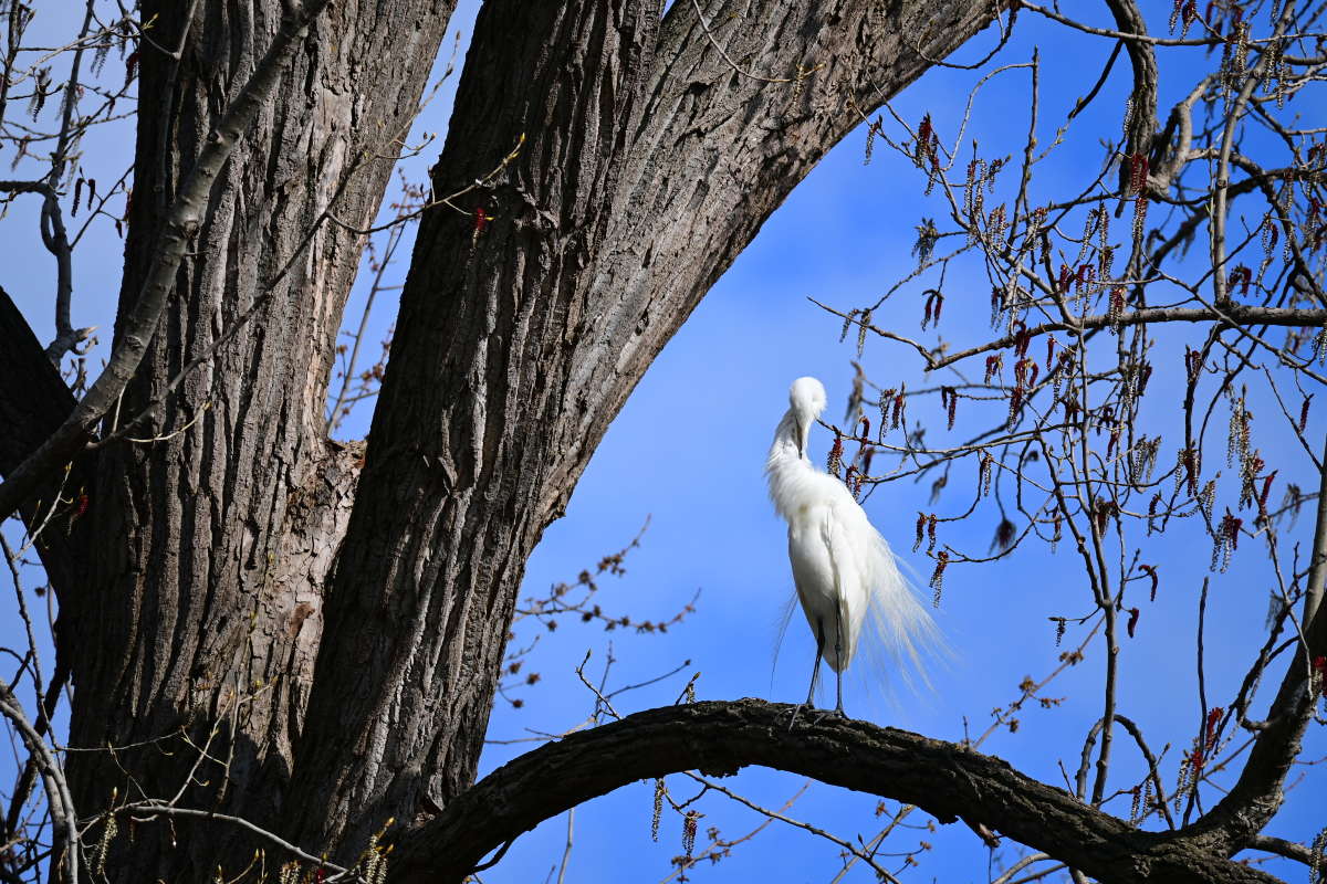 �� ������ �� ��� ����� ����� �������  �� PhotoGeek.ru #�������� ���