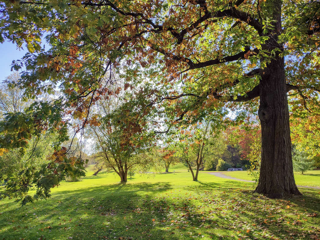 ����������� ���������� ����� �������  �� PhotoGeek.ru #������ ��� �������