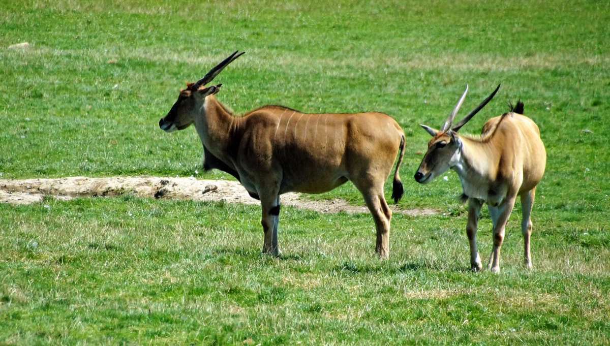 ����� ���������� ����� �������  �� PhotoGeek.ru #�������� ���