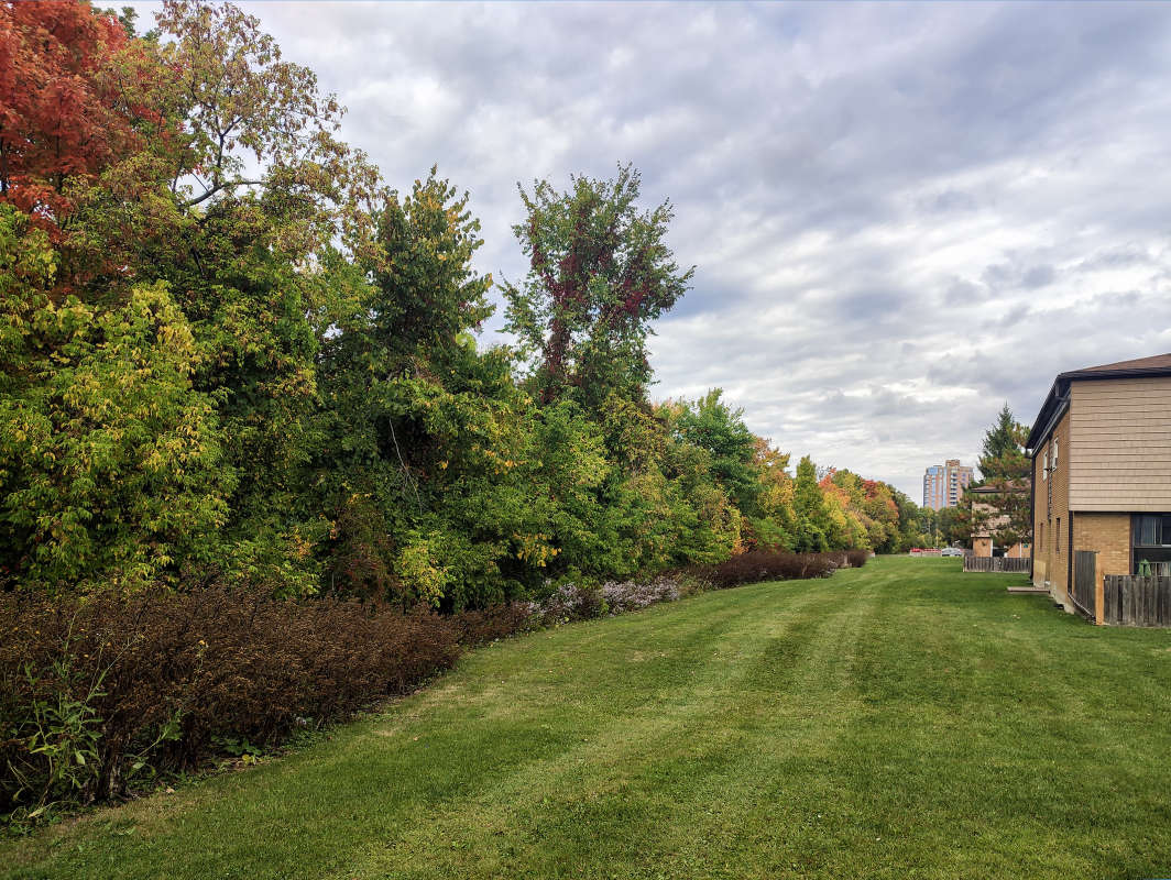 �� ��������� ����� �������  �� PhotoGeek.ru #�����