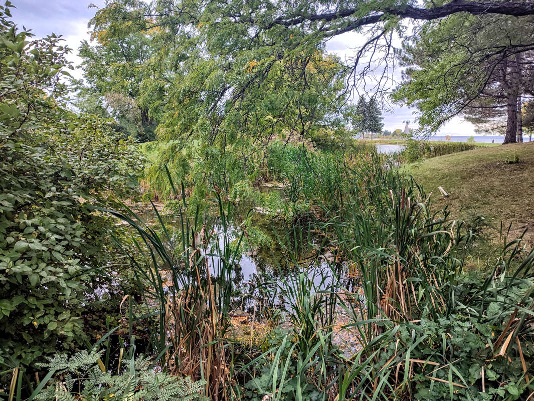 ������ ���� ������������! ����� �������  �� PhotoGeek.ru #������ ��� �������