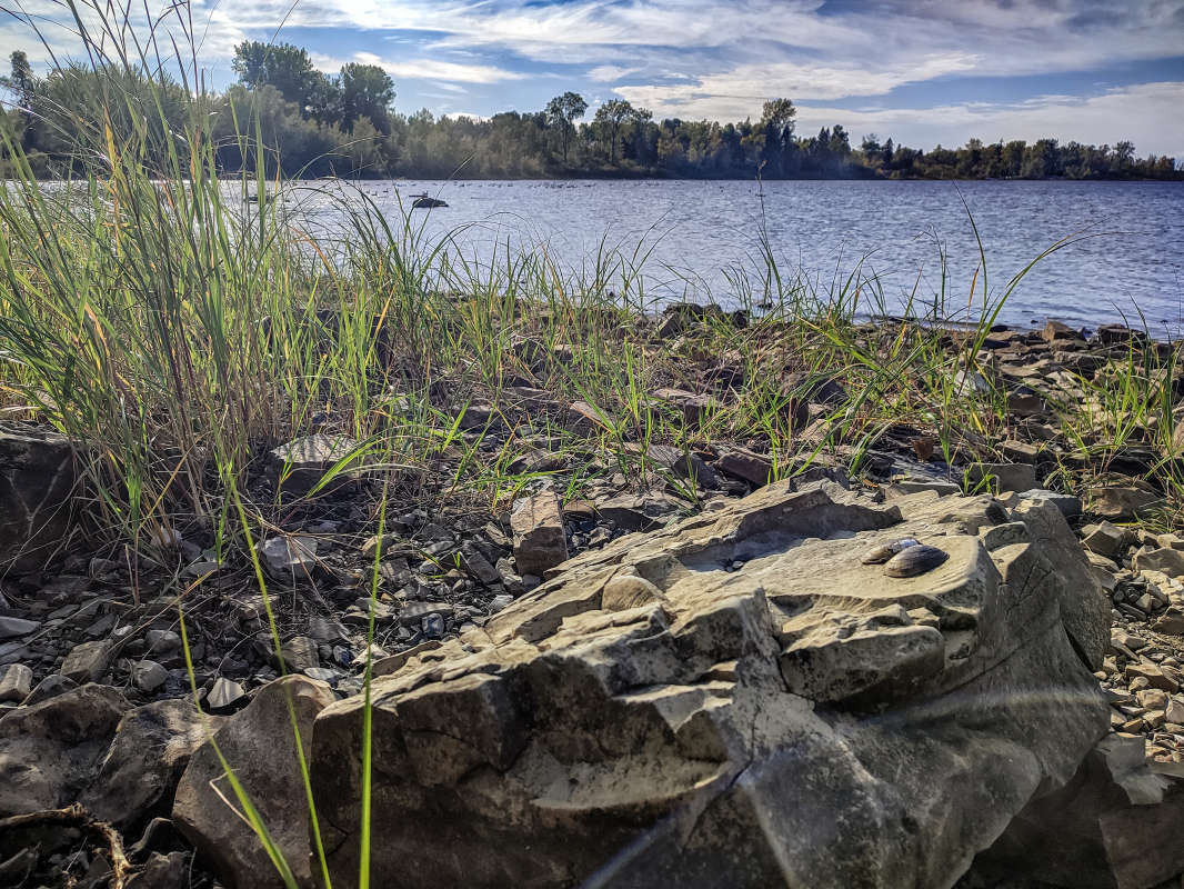 � �������� ����� �������  �� PhotoGeek.ru #������ ��� �������