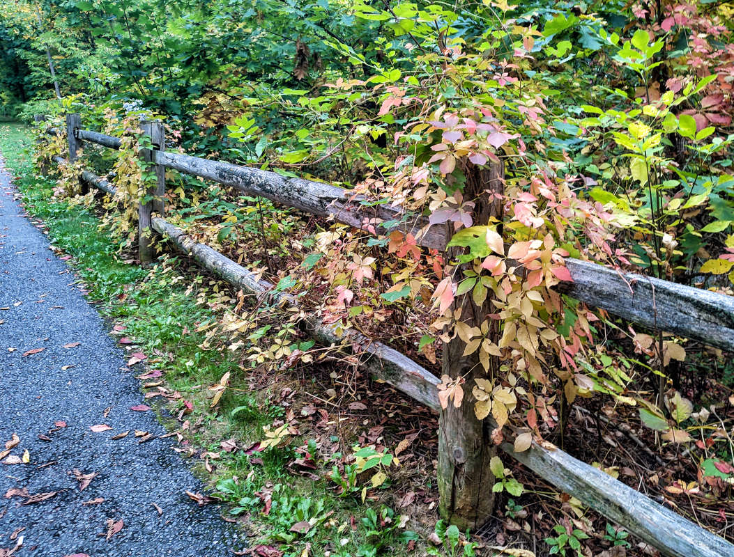 ��������� ����� �������  �� PhotoGeek.ru #����� #������ ��� �������