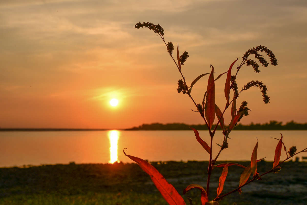 ��������- ������� ����� �������  �� PhotoGeek.ru #������ ��� �������