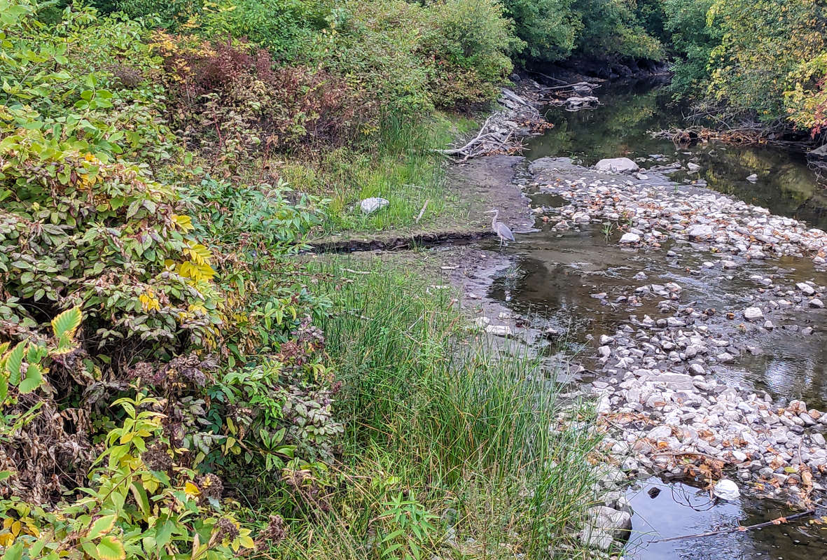 �������� - �����. ����� �������  �� PhotoGeek.ru #�������� ���