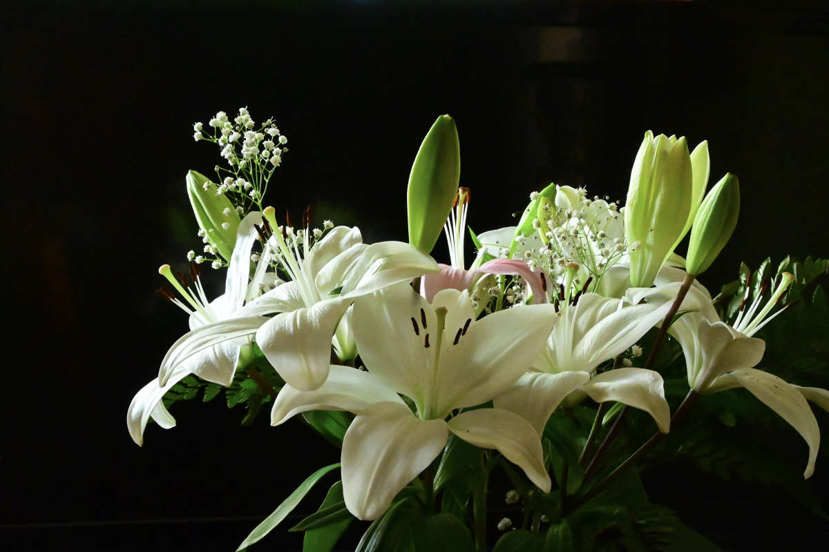 ��� ��� ������? ����� �������  �� PhotoGeek.ru #�������� ����������