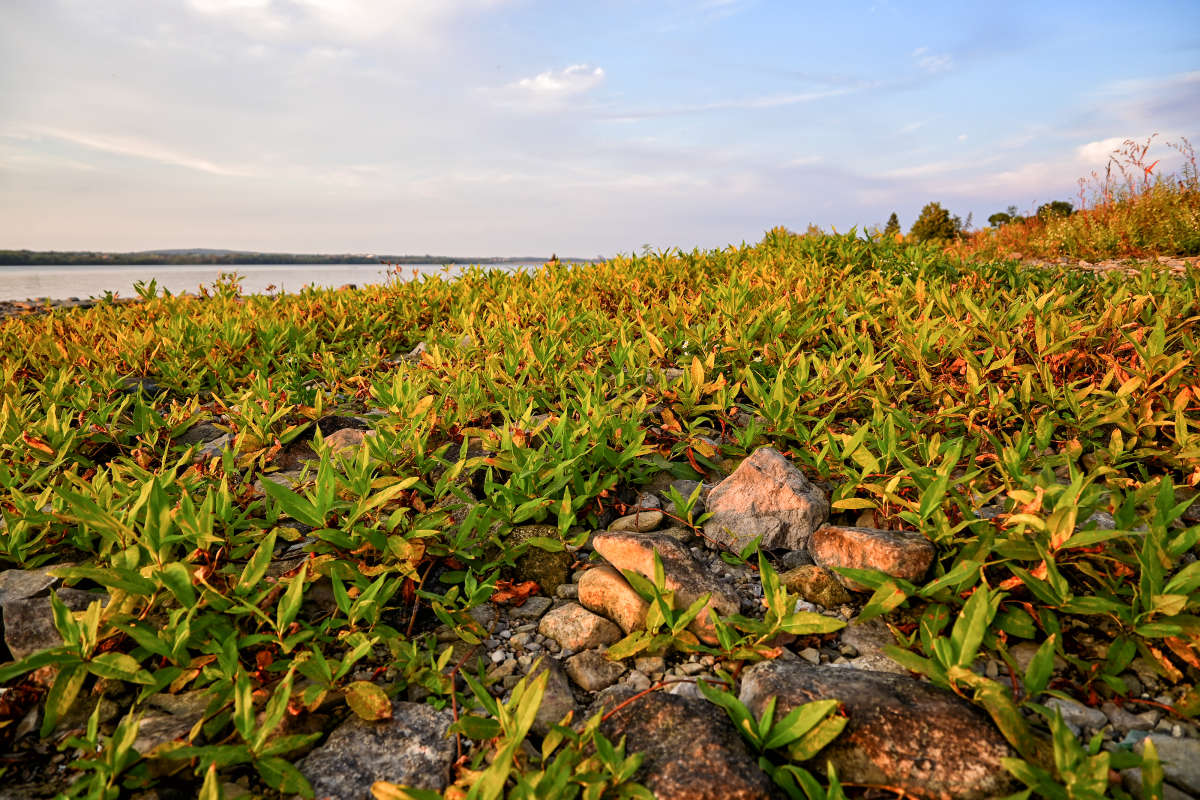 � ����� ��������� ������ ����� �������  �� PhotoGeek.ru #������ ��� �������