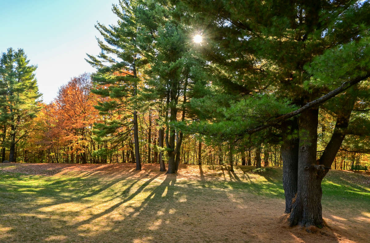 ˸� ��������! ����� �������  �� PhotoGeek.ru #������ ��� �������