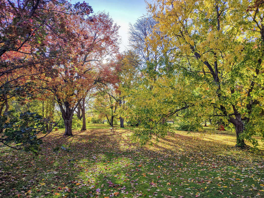 ����� � ����� �������� ���� ����� �������  �� PhotoGeek.ru #������ ��� �������