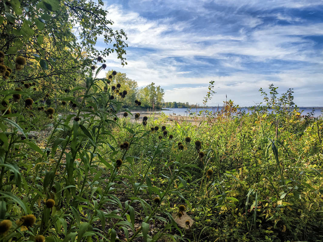 ����������� ����� ����� �������  �� PhotoGeek.ru #������ ��� �������