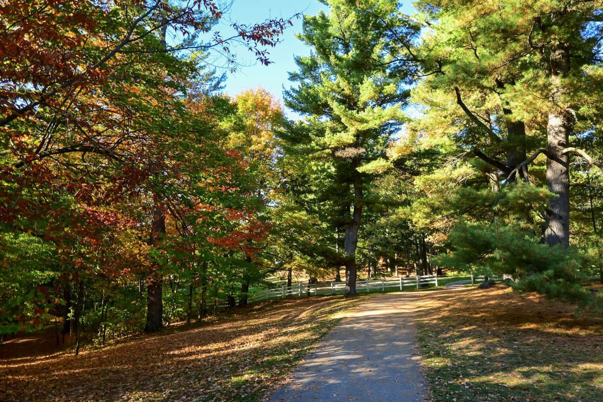 ����� ������ ����� �������  �� PhotoGeek.ru #������ ��� �������