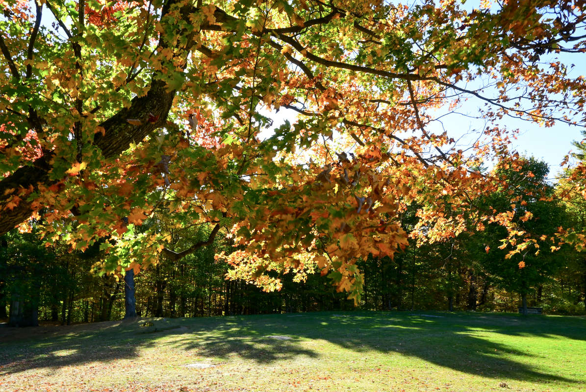 ��������� ������ ����� �������  �� PhotoGeek.ru #������ ��� �������