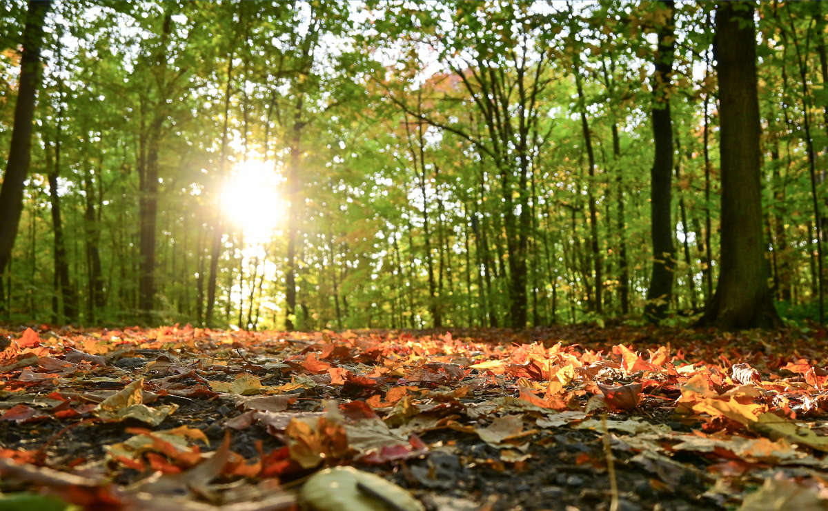 �������� ����� �������  �� PhotoGeek.ru #������ ��� �������