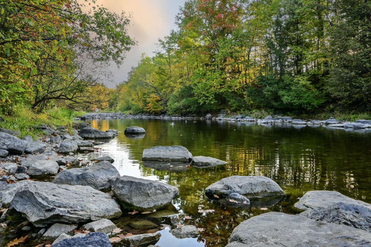 ���� ���� ����� ������ ����� �������  �� PhotoGeek.ru #������ ��� �������