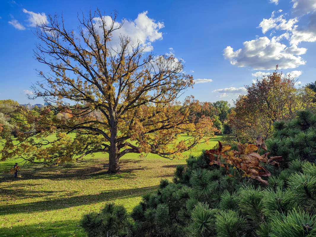 ����  ������� ������� ����� �������  �� PhotoGeek.ru #������ ��� �������