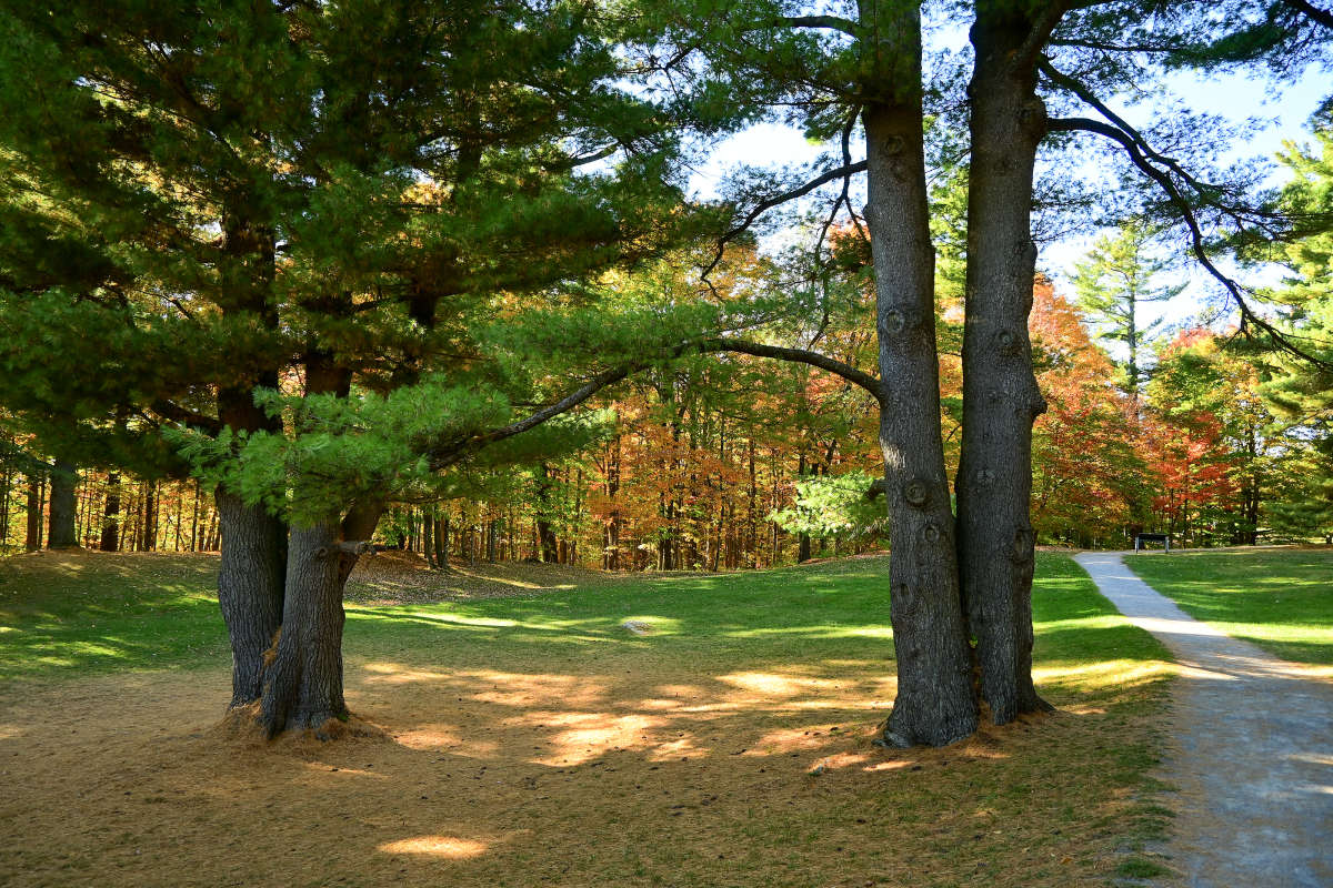 �� ������ � �������� ���� ����� �������  �� PhotoGeek.ru #������ ��� �������