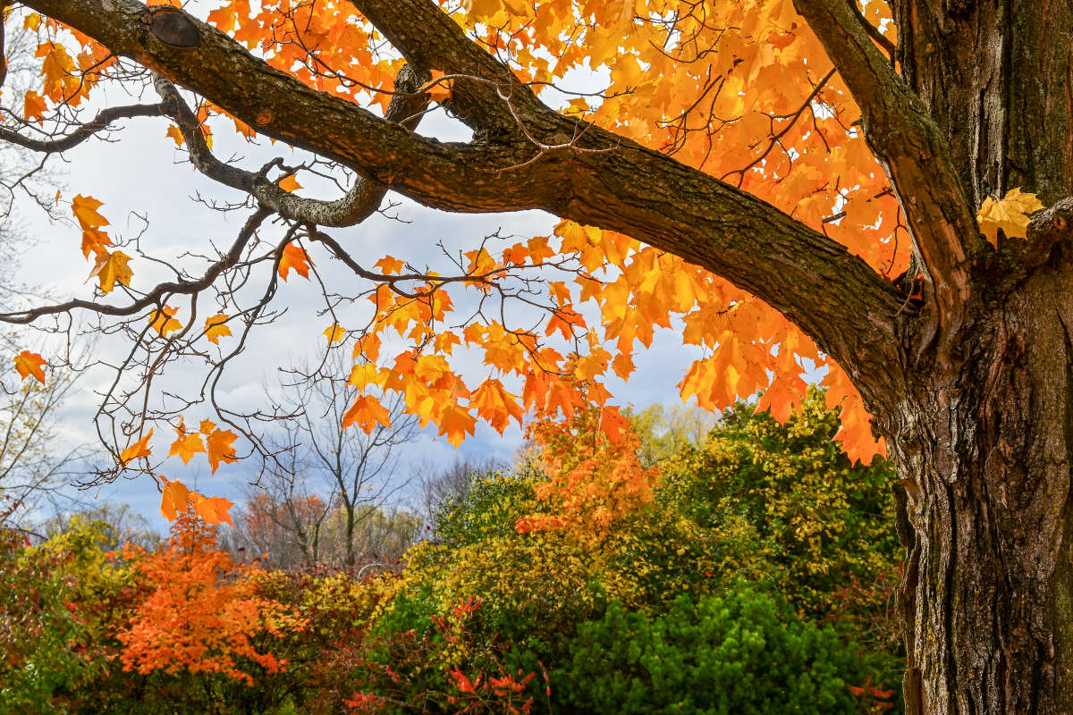 �������� ������ � ���� ����� �������  �� PhotoGeek.ru #������ ��� �������