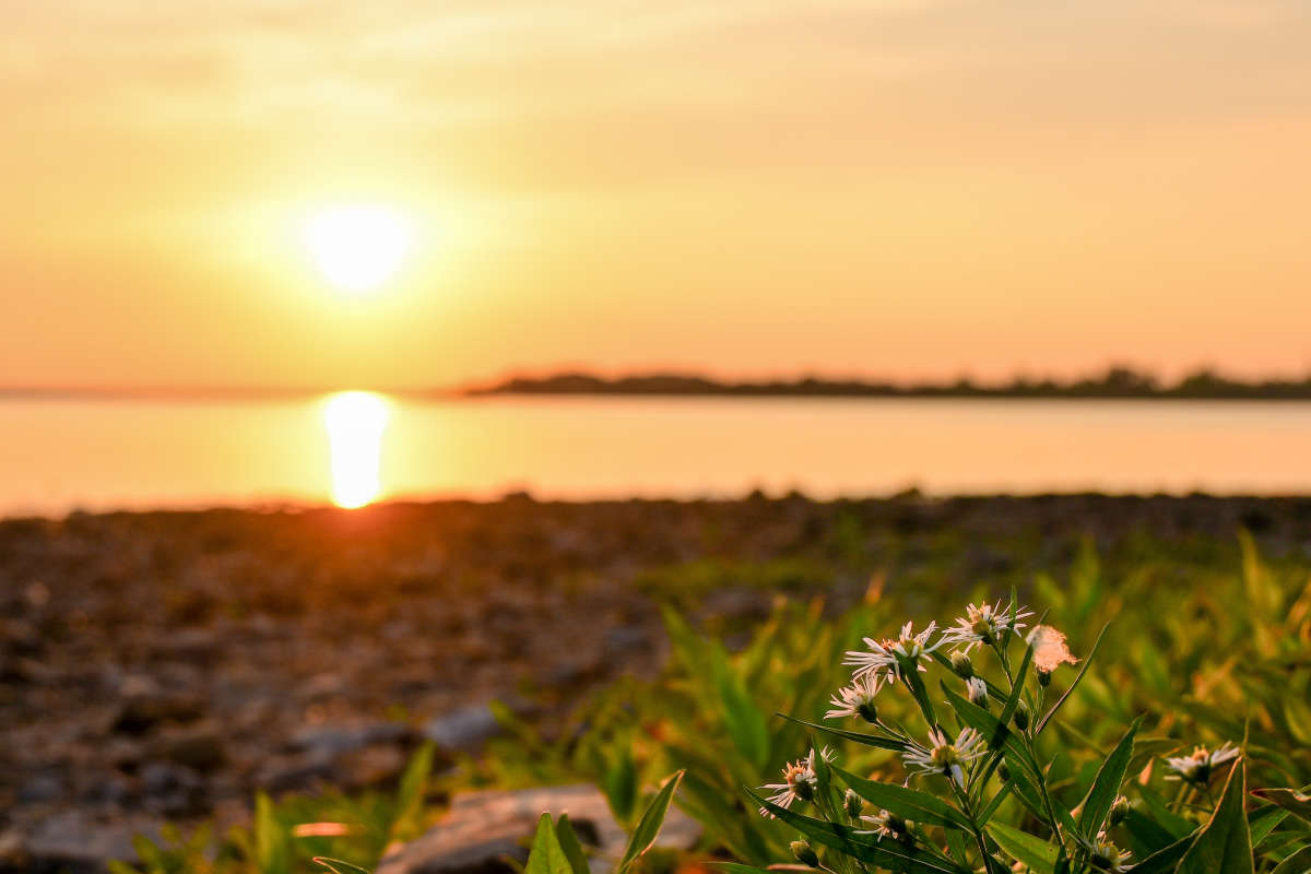 �������� ���������� � ���� ����� �������  �� PhotoGeek.ru #������ ��� �������